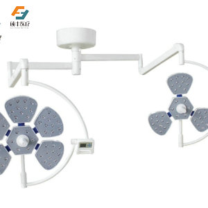 LED750/550(花瓣（bàn）型)